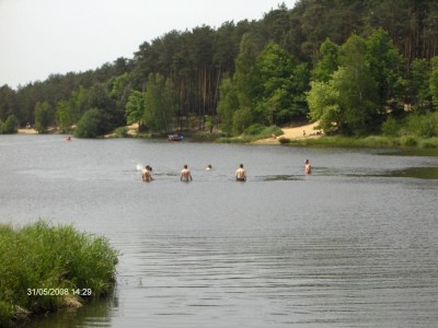 HPIM4338 (Large).JPG