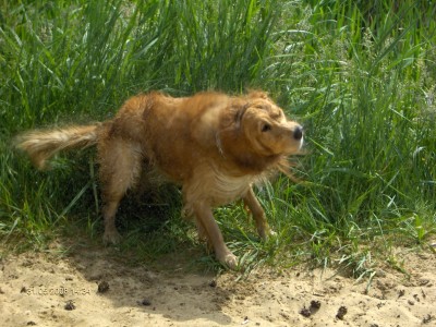 HPIM4347 (Large).JPG