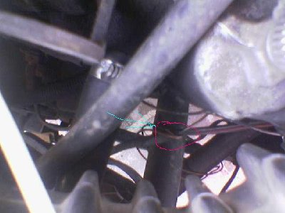 Image(003).jpg
