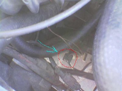 Image(002).jpg