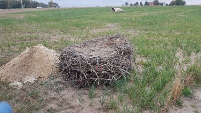 20181002_093941 — kopia.jpg