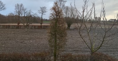 WP_20181224_10_55_10_Pro_LI (2).jpg