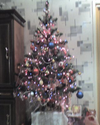 choinka 1.jpg