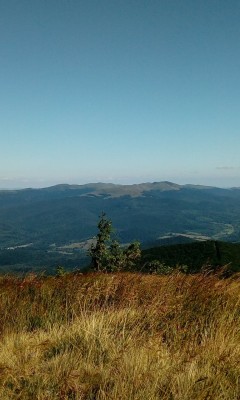 Panorama na partie Bieszczadów z Wielkiej Rawki