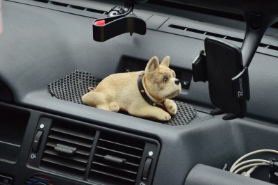 DSC_4818 (Duże).JPG