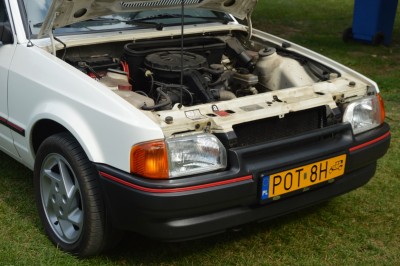 DSC_4842 (Duże).JPG