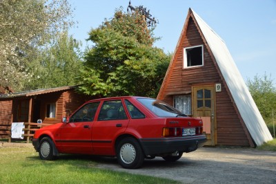 DSC_4867 (Duże).JPG