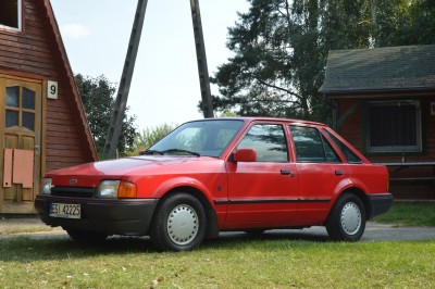 DSC_4873 (Duże).JPG