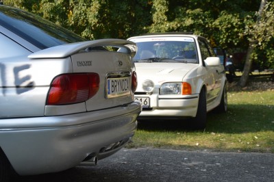 DSC_4937 (Duże).JPG