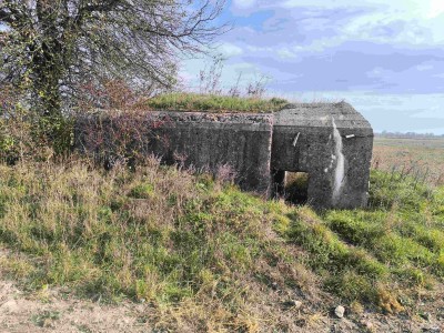 IMG_20241026_123242 (1).jpg