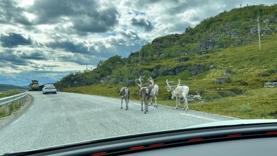 IMG_1440.JPG