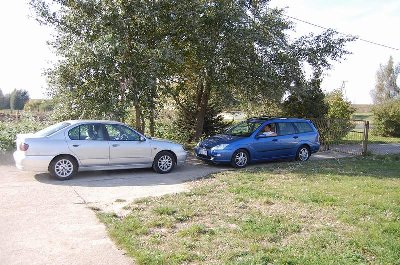 focus zagoniony w kozi rog