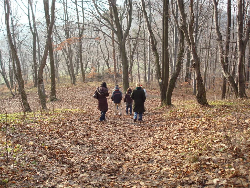 Powrót z lokalnego zamku