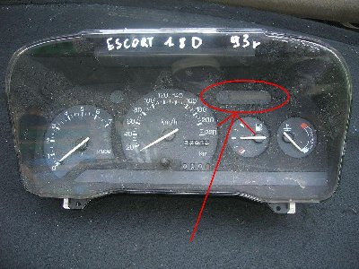 293007289.jpg