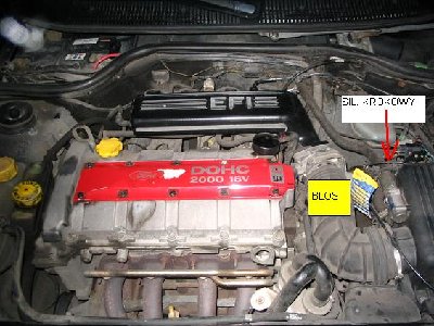dsd.jpg