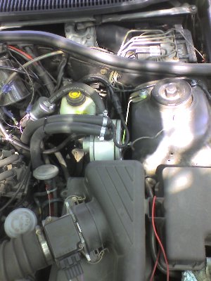 Obraz 0400.jpg