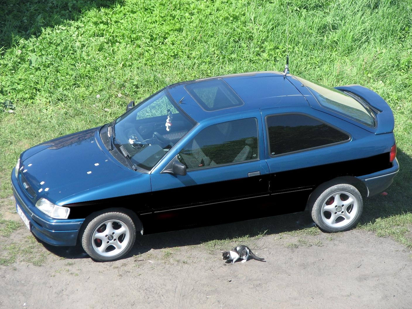 tylko dół.jpg