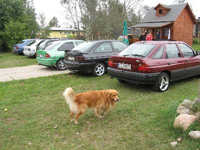 Esik mi sie narazil ;&amp;gt; chyba za bardzo mnie polubil :P