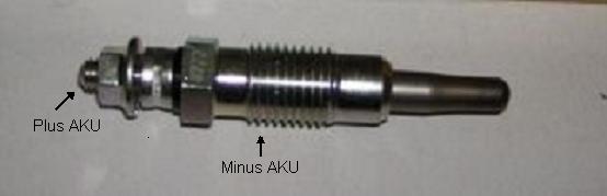 wieca_arowa_190.jpg