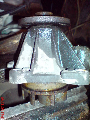 DSC00200.JPG