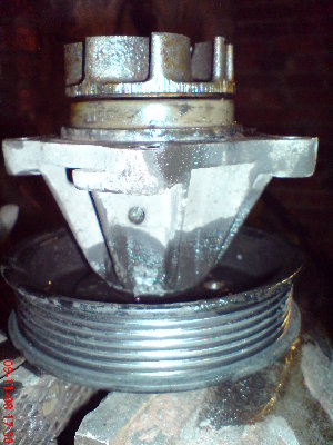 DSC00198.JPG