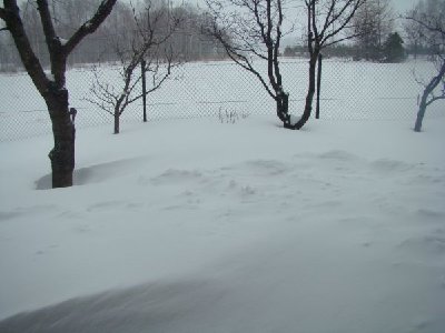 DSC05943.jpg (33.62 KiB) Przejrzano 194 razy DSC05943.jpg