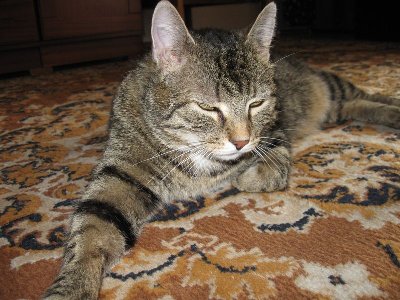 Bury obecnie wygląda tak...