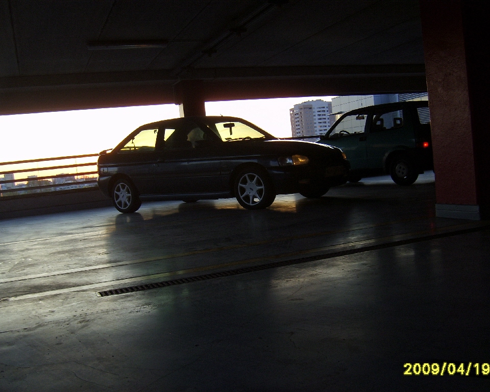 S6003407.JPG