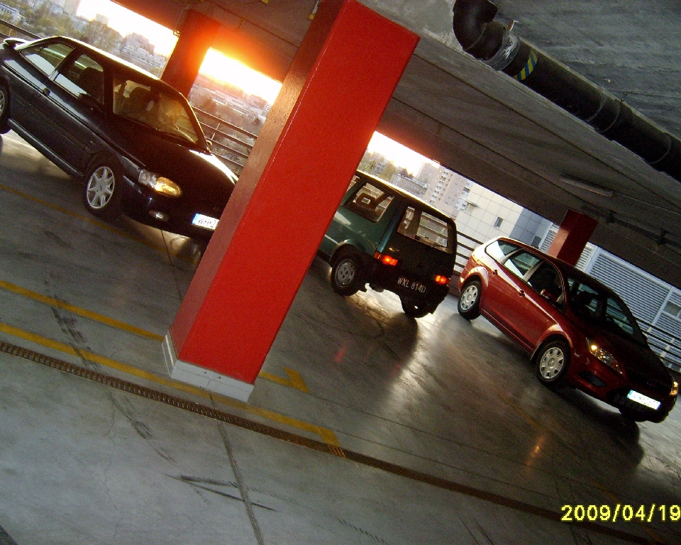 S6003406.JPG