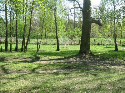 Plac zabaw ciąg dalszy