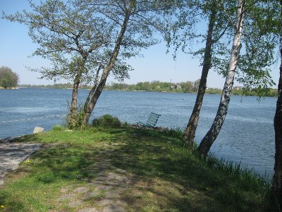 Koniec cypla