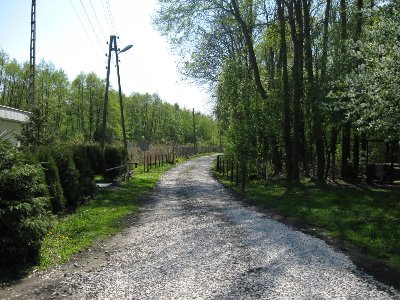 droga dojazdowa - widok od strony parkingu