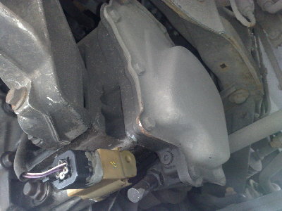 20090504036.jpg