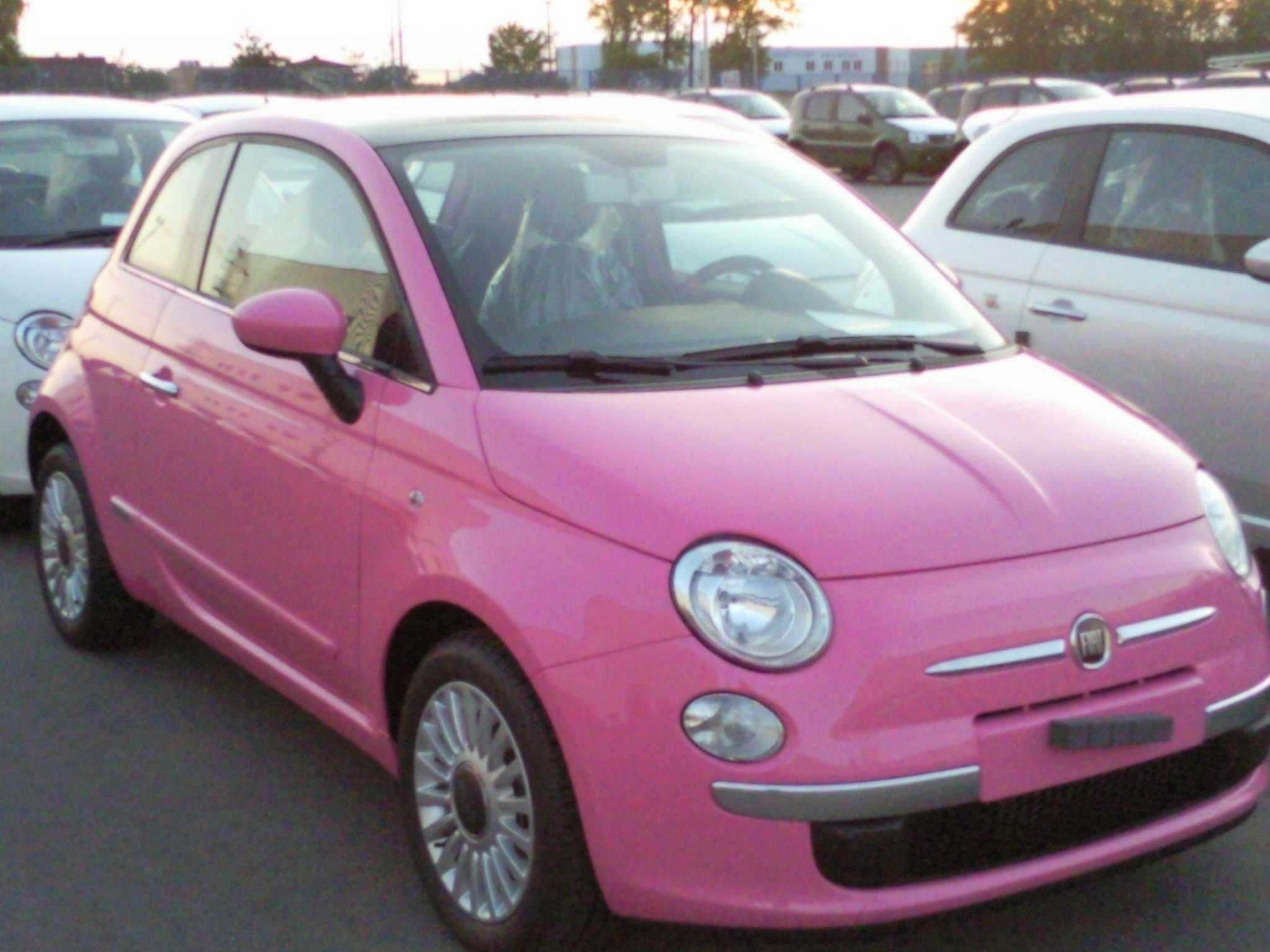 Zdjęcie0262 (1).jpg