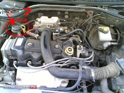 C9284314_8.jpg